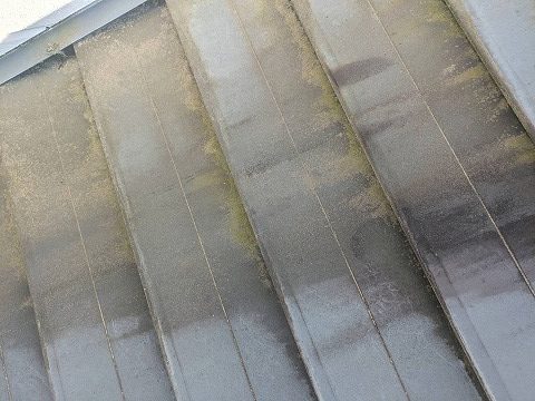 飯田市F邸点検屋根苔の発生